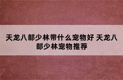 天龙八部少林带什么宠物好 天龙八部少林宠物推荐